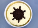 Oreo New York-Style Cheesecake